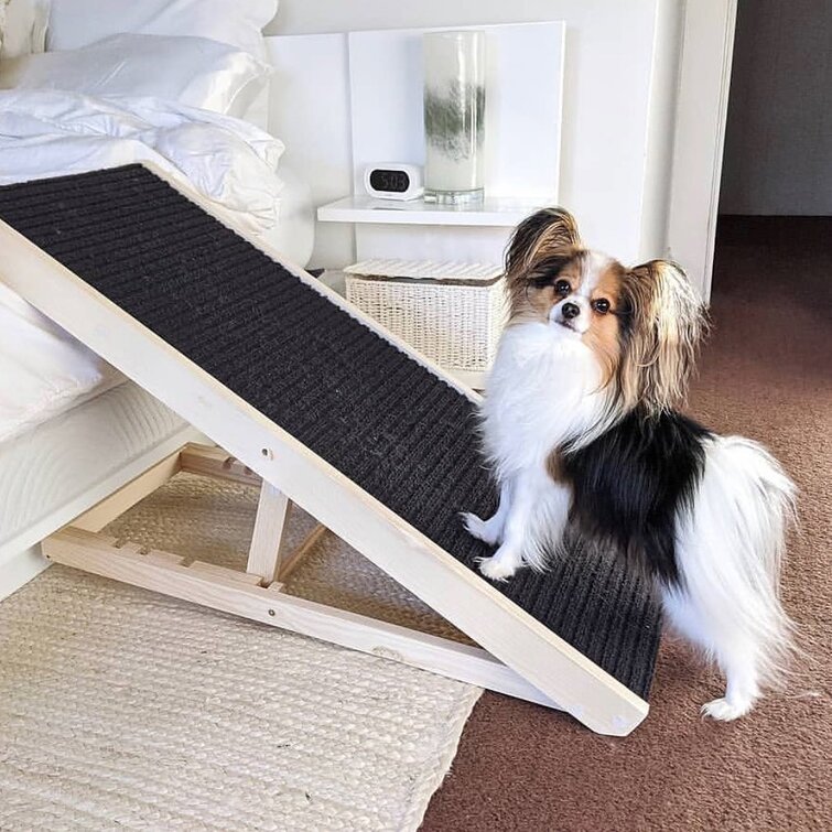 Pet ramp 2025 near me